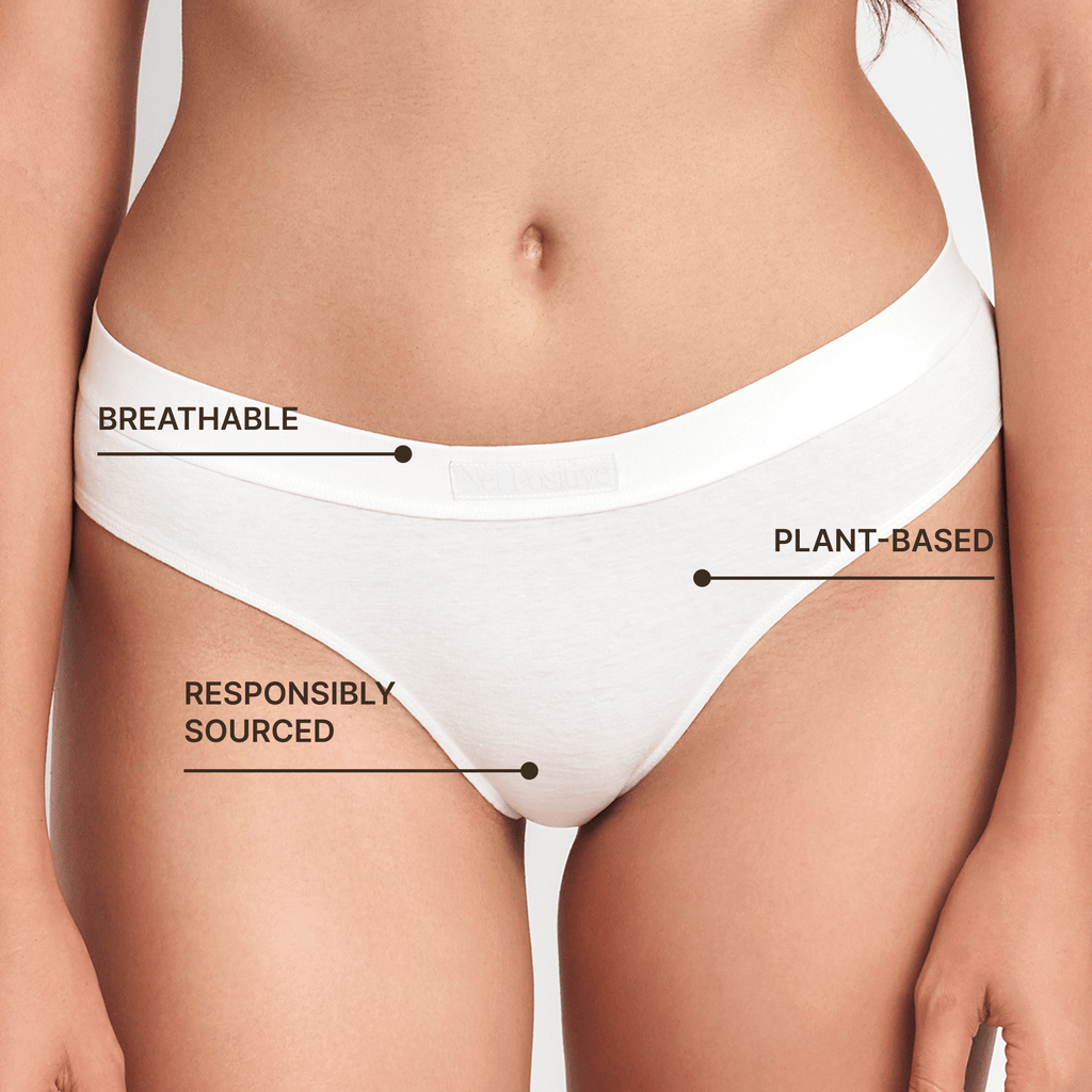 Everyday Hemp Mid-Rise Brief