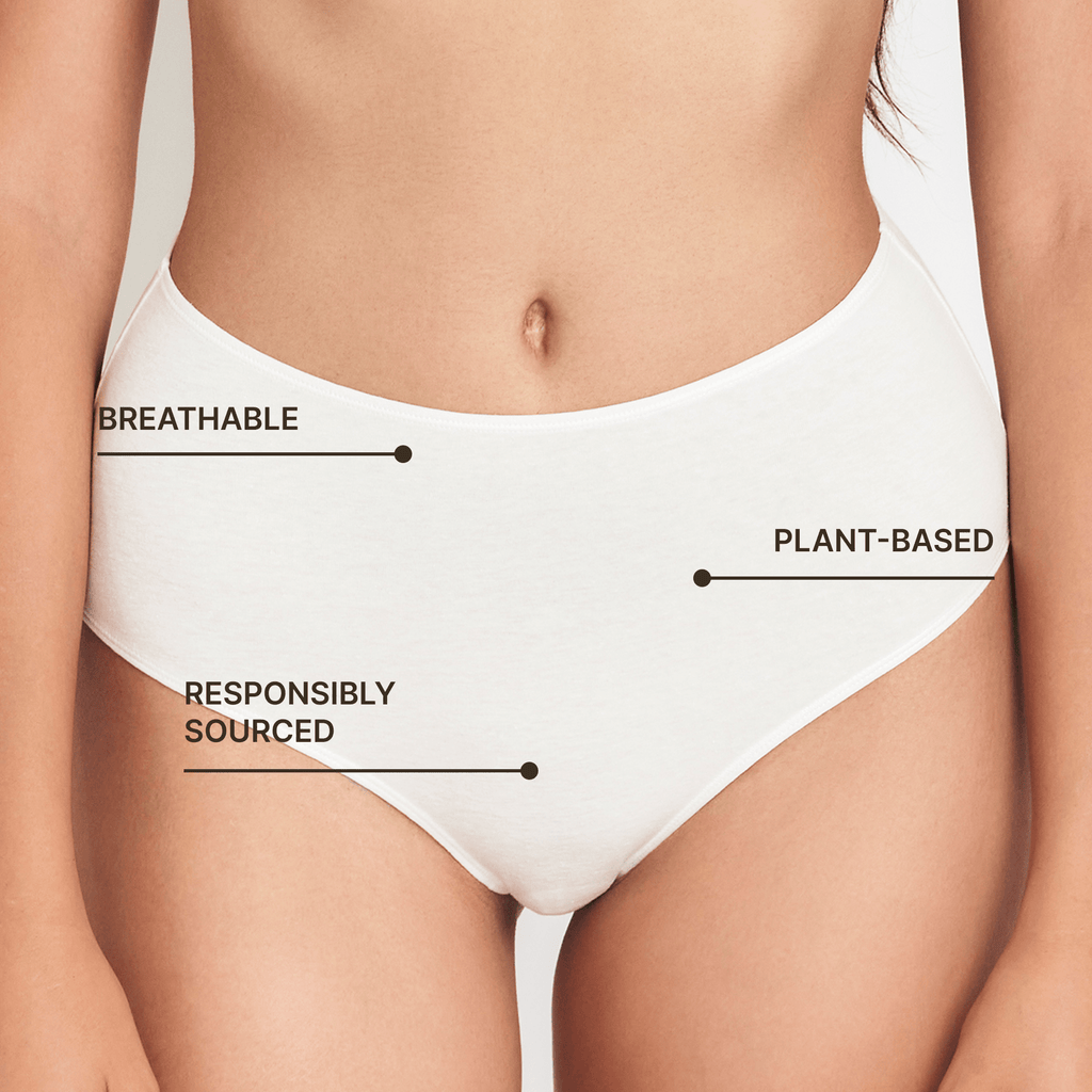 Hump-Hugger High-Rise Brief